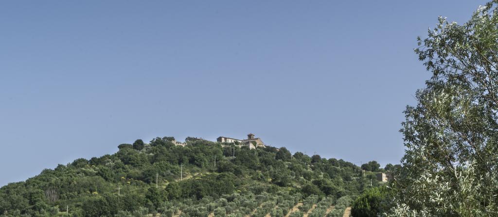 Agriturismo Borgo Spagnoli Magione Bagian luar foto